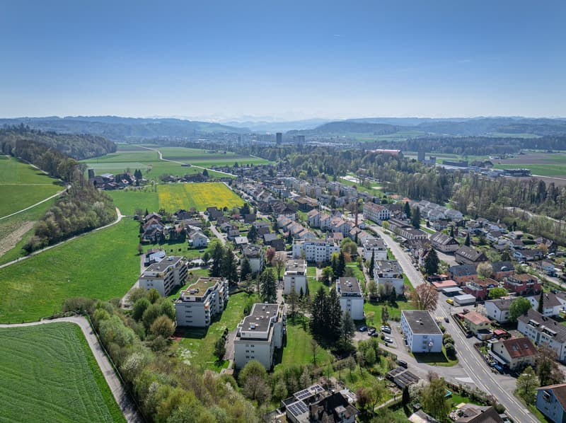Aerial view of a town with many buildings, green fields, and trees