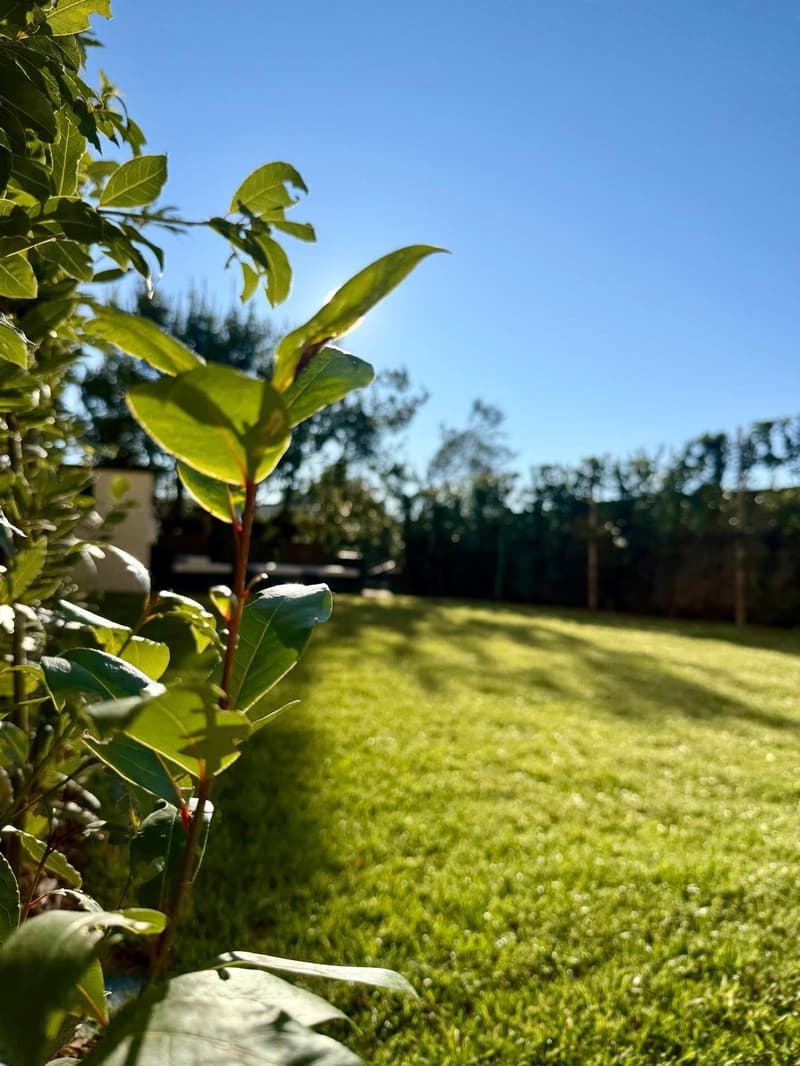 Elegante Villa di 6.5 locali con Vista Panoramica a Lugano – Disponibile Subito (33)