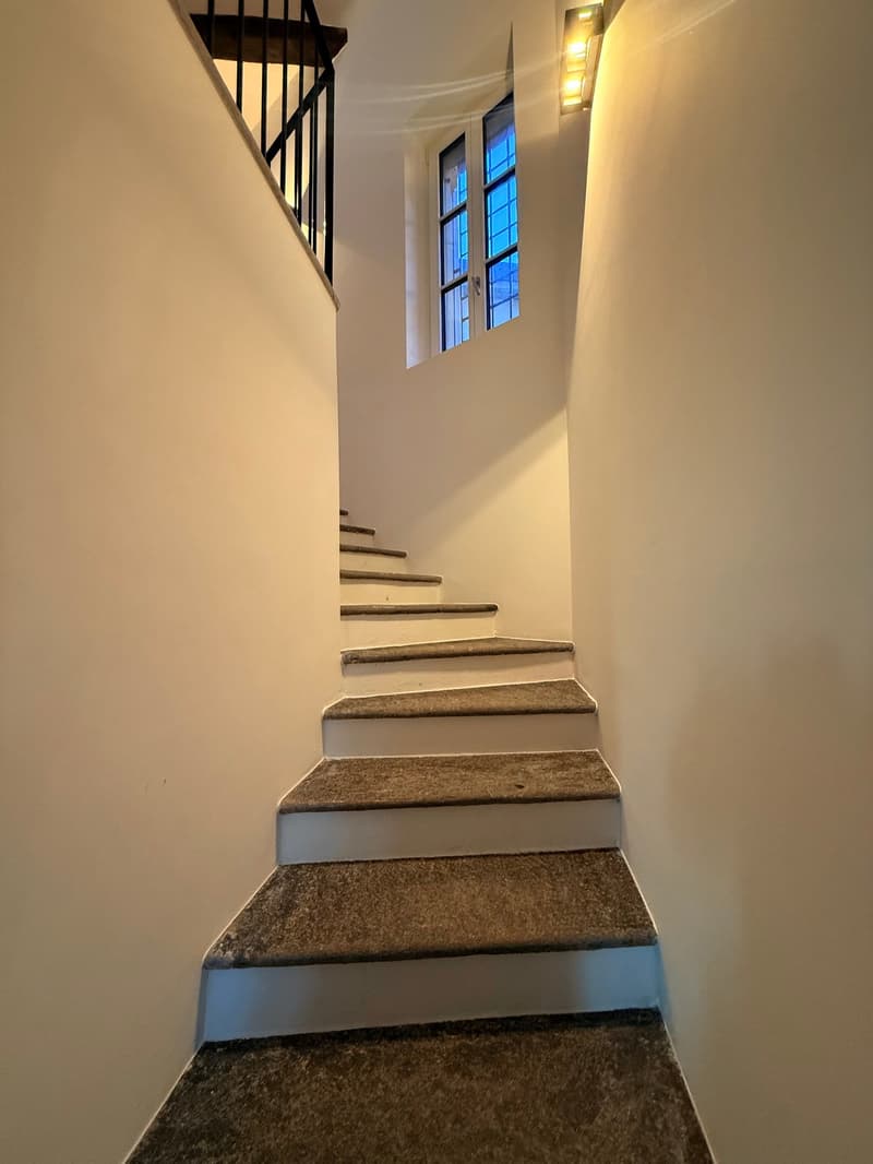 Carpeted staircase, white walls, glass window with metal frames, modern wall lighting, and a metal railing