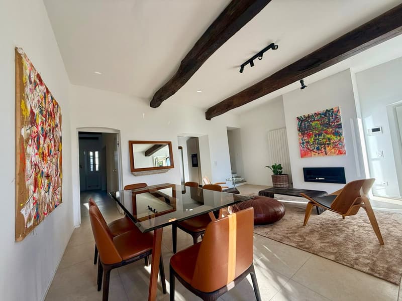 glass table, wooden chairs, fireplace, large painting, mirror, indoor plant, rug