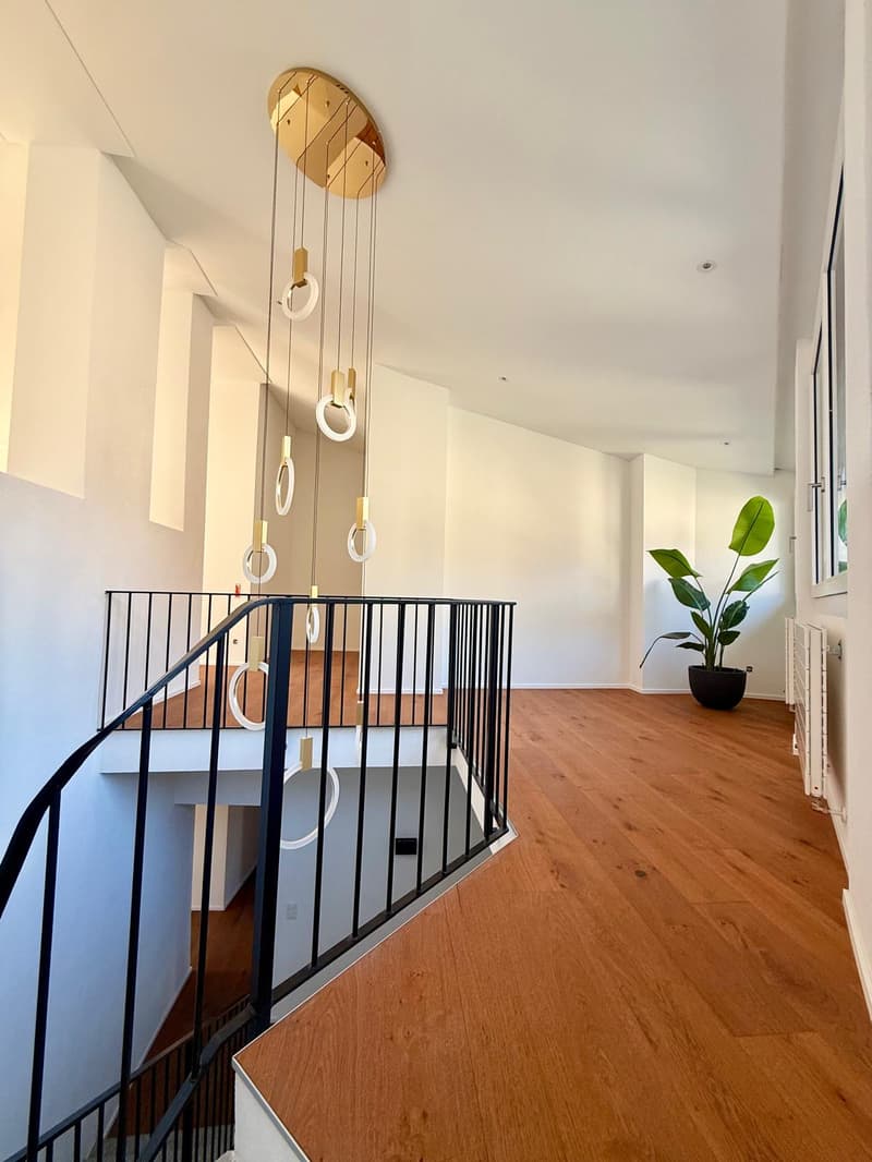 Staircase, wooden floors, white walls, decorative chandelier, potted plant, radiator