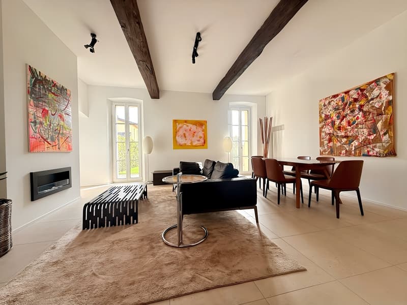 open space living room with carpet, leather couch, dining table, black fireplace, paintings, modern lamps
