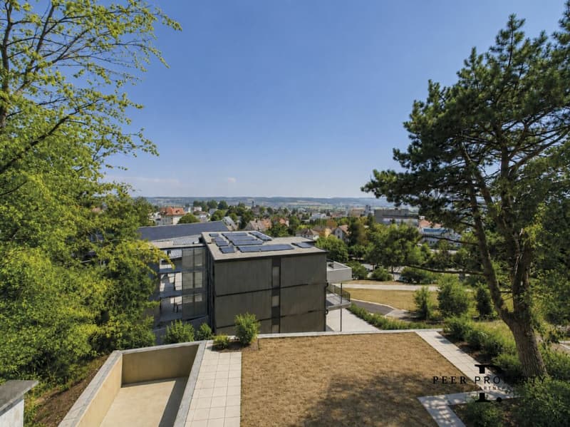 Panorama Wohntraum Schönegg mit Aussenpool (10)
