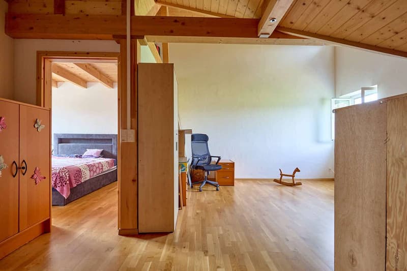 Dachausbau Anetswil