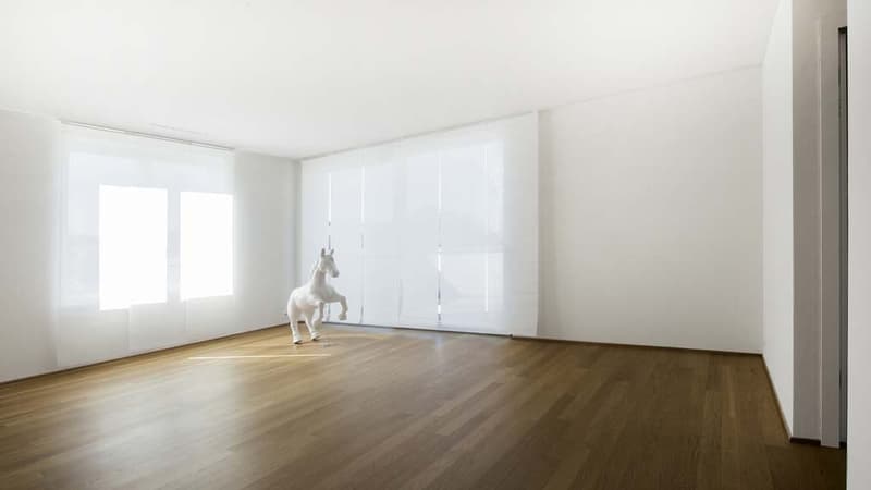Exklusive 4½-Zimmer-Attikawohnung in Toplage von Aarau (3)