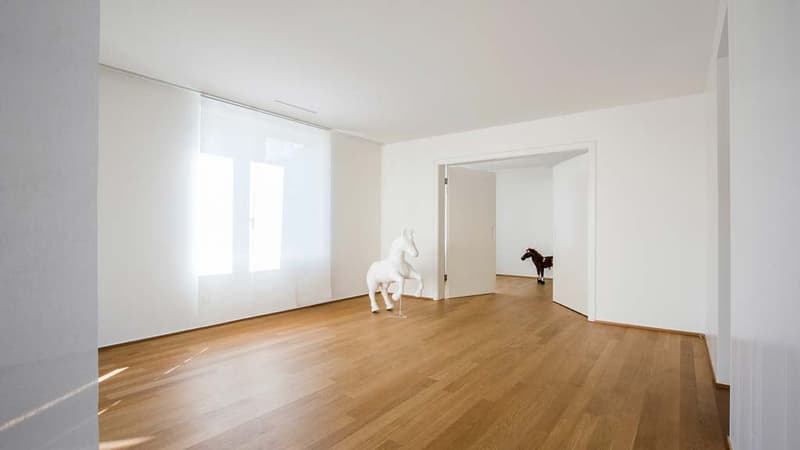 Exklusive 4½-Zimmer-Attikawohnung in Toplage von Aarau (2)