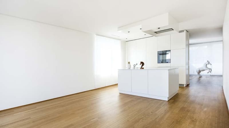 Exklusive 4½-Zimmer-Attikawohnung an Toplage in Aarau (11)