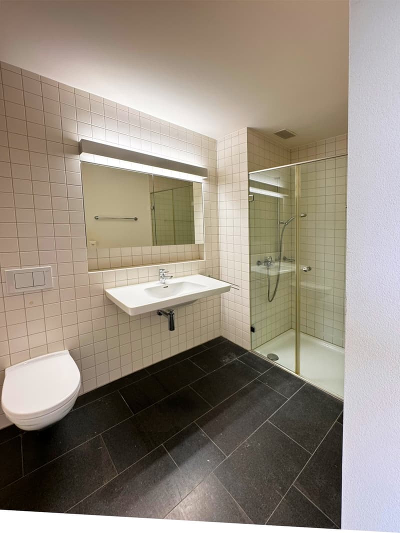 Exklusive 4½-Zimmer-Attikawohnung an Toplage in Aarau (8)