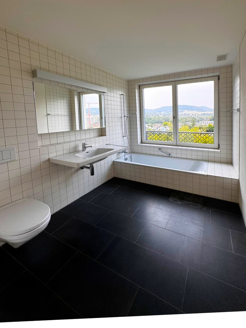 Exklusive 4½-Zimmer-Attikawohnung an Toplage in Aarau (7)