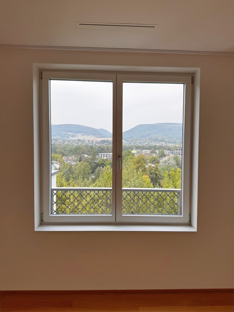 Exklusive 4½-Zimmer-Attikawohnung an Toplage in Aarau (5)