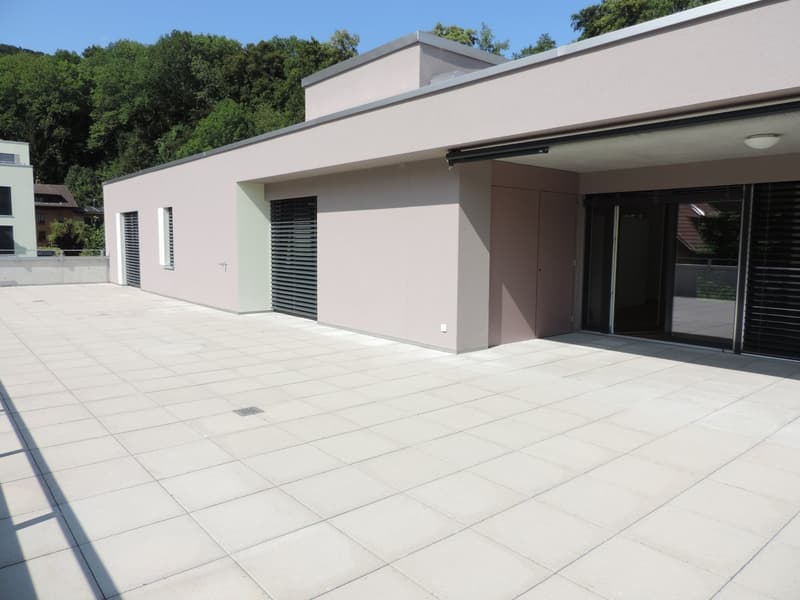 Attraktive 4.5-Zimmer-Attikawohnung in Wangen bei Olten (1)