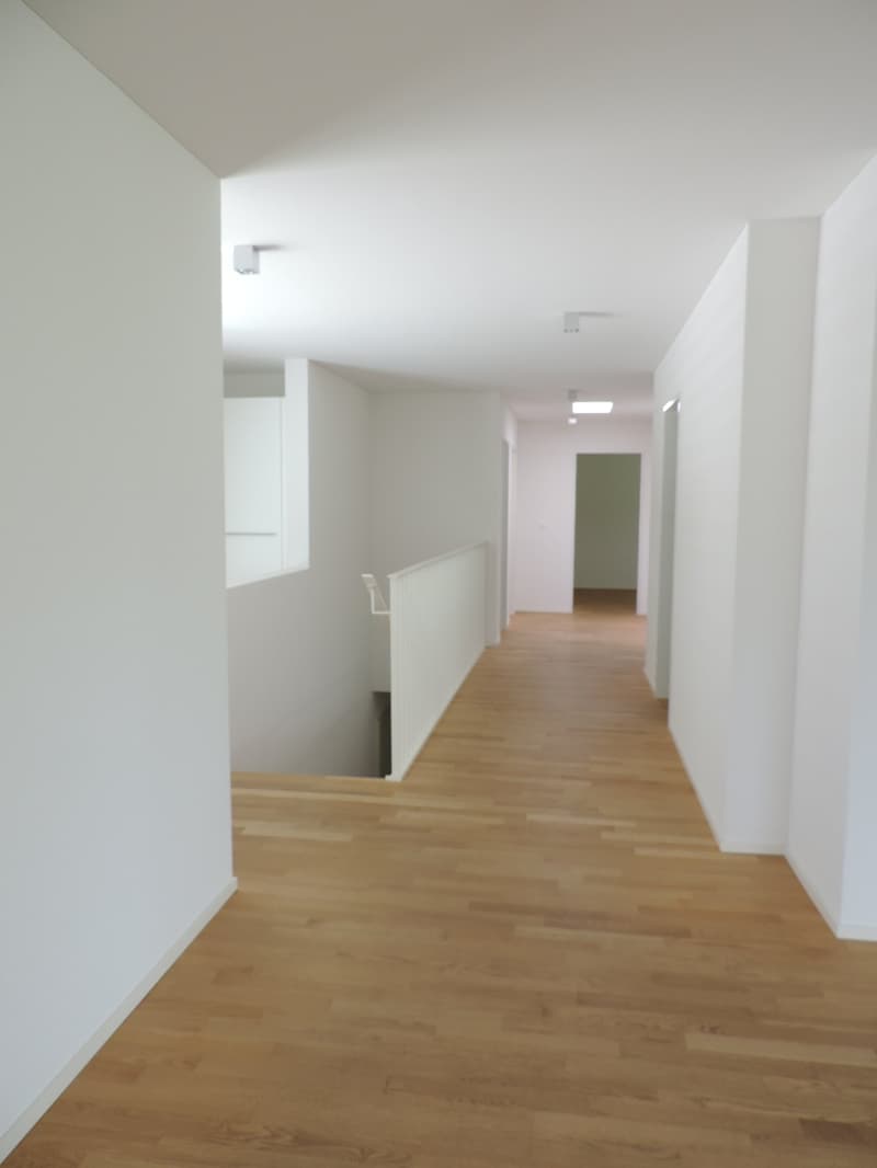 Attraktive 4.5-Zimmer-Attikawohnung in Wangen bei Olten (4)