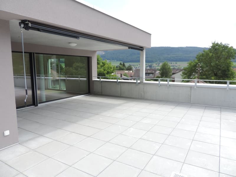 Attraktive 4.5-Zimmer-Attikawohnung in Wangen bei Olten (2)