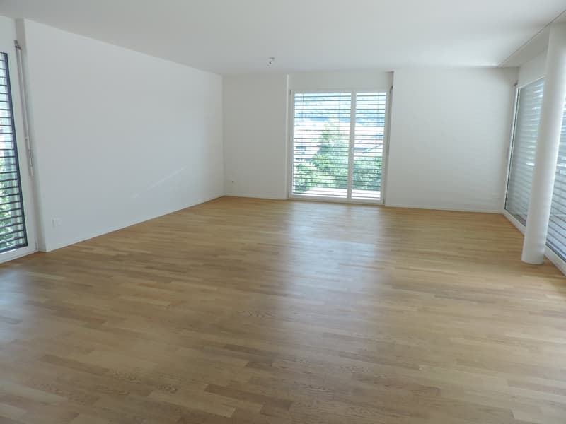 Attraktive 4.5-Zimmer-Attikawohnung in Wangen bei Olten (3)