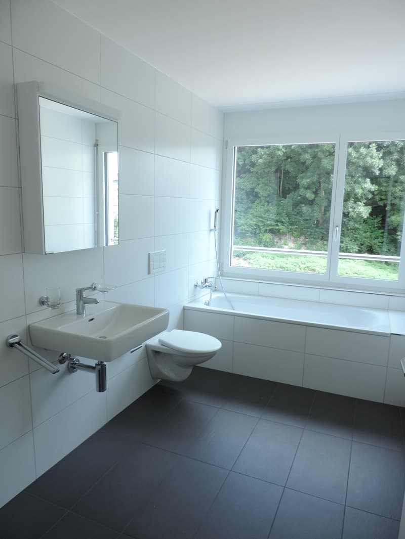 Attraktive 4.5-Zimmer-Attikawohnung in Wangen bei Olten (8)