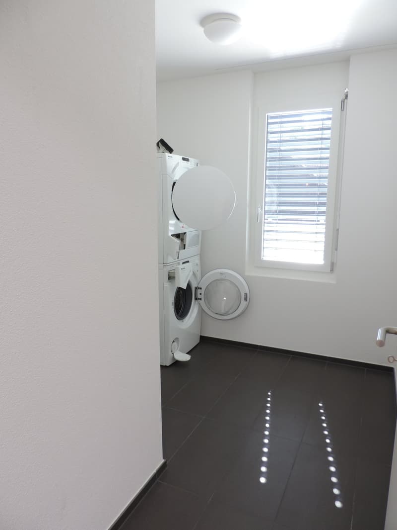 Attraktive 4.5-Zimmer-Attikawohnung in Wangen bei Olten (6)