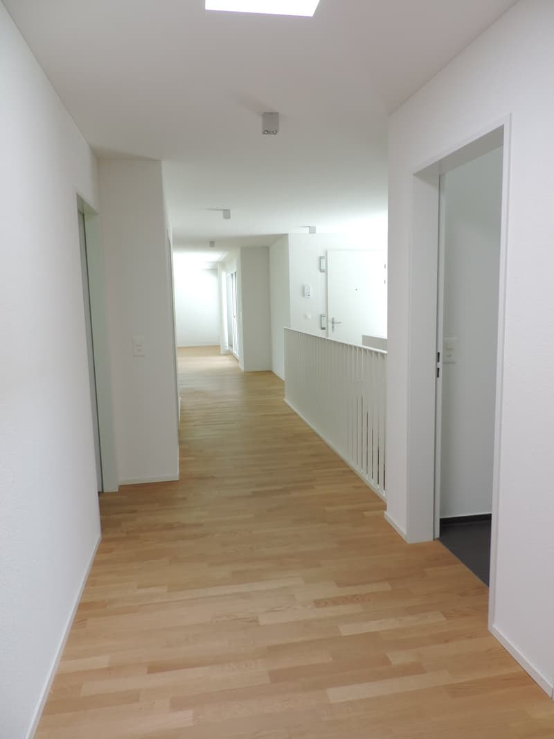 Attraktive 4.5-Zimmer-Attikawohnung in Wangen bei Olten (5)