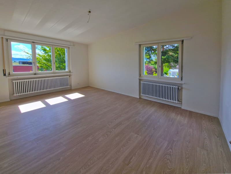 Grosszügiges 6-Zimmer-Einfamilienhaus mit viel Privatsphäre und Weitsicht in Biberstein (10)
