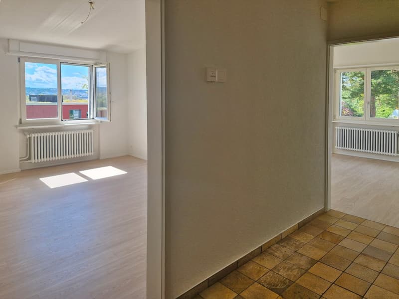 Grosszügiges 6-Zimmer-Einfamilienhaus mit viel Privatsphäre und Weitsicht in Biberstein (8)