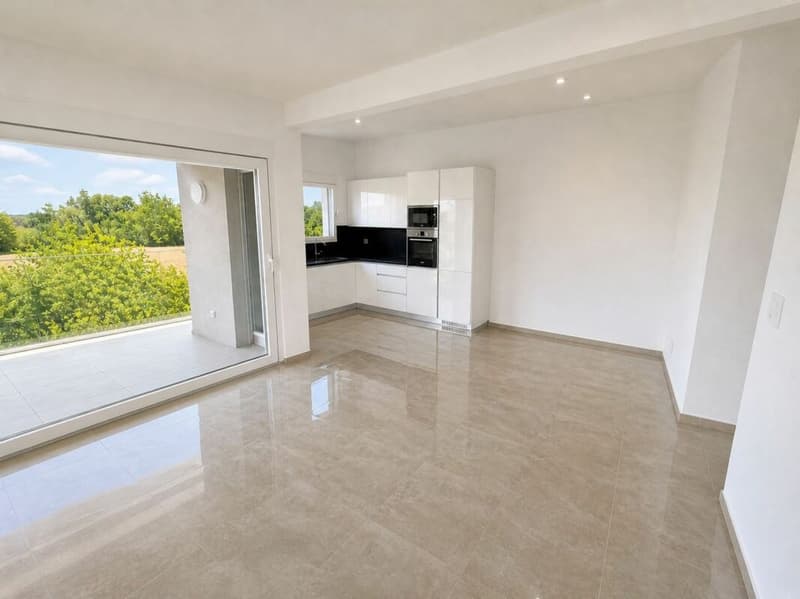 Appartement 4.5 (4)