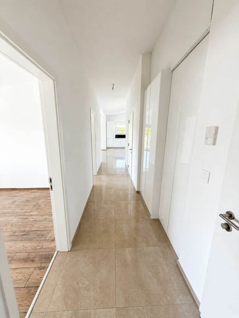 Appartement 4.5 (5)