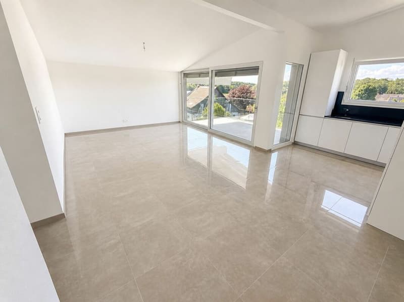 Appartement 4.5 (3)