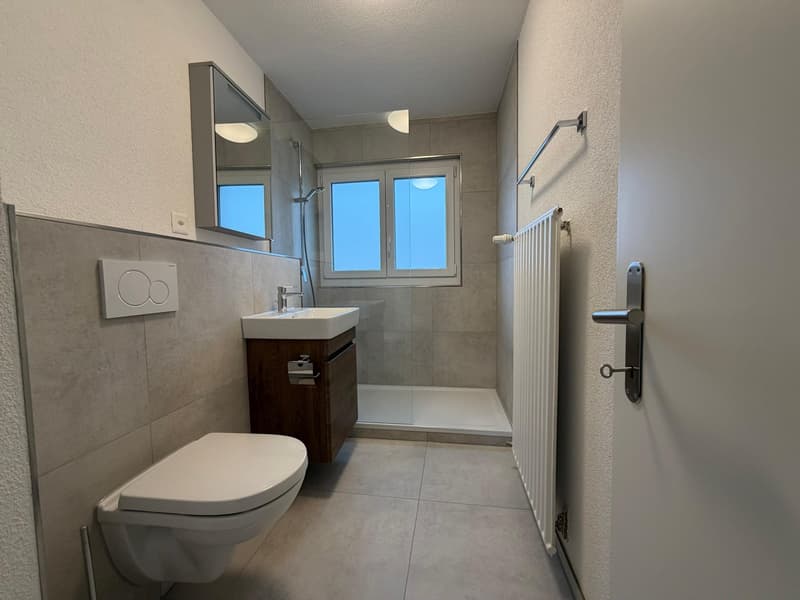 Moderne 4-Zimmer-Wohnung – Erstbezug nach hochwertiger Kernsanierung (3)
