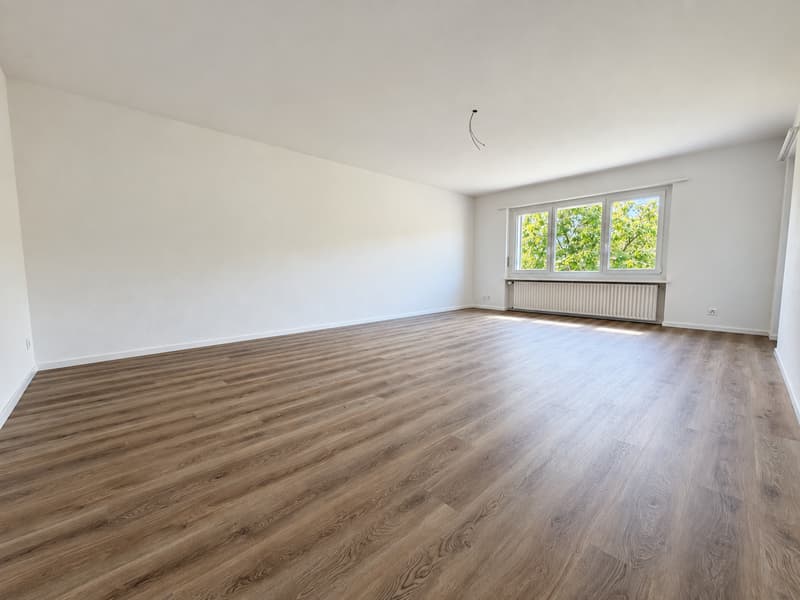 Moderne 4-Zimmer-Wohnung – Erstbezug nach hochwertiger Kernsanierung (10)