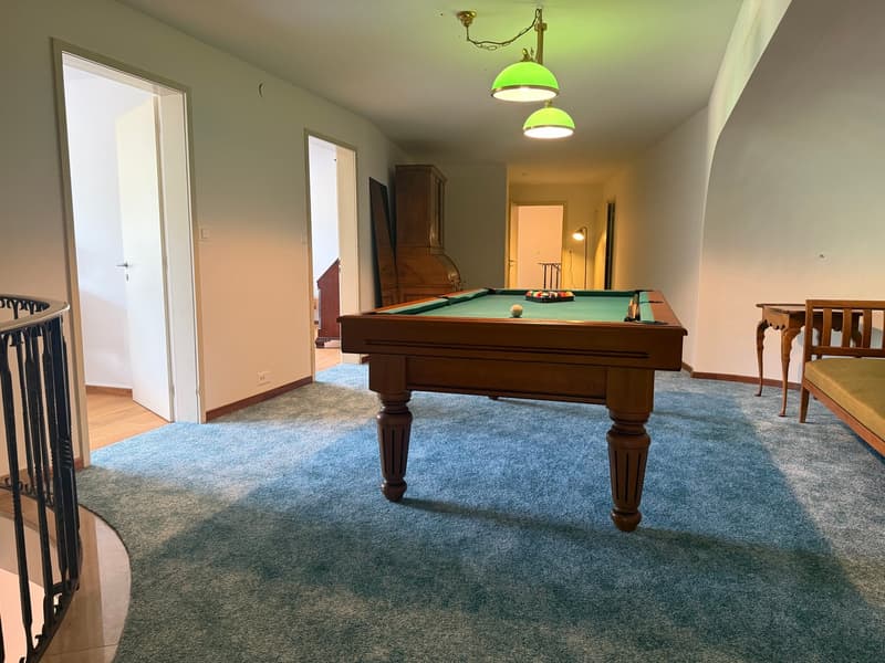 Einzigartige 14-Zimmer-Villa zur möblierten Miete in Metzerlen-Mariastein (27)
