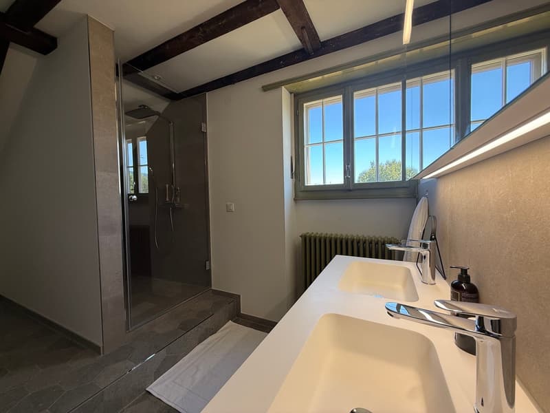 Einzigartige 14-Zimmer-Villa zur möblierten Miete in Metzerlen-Mariastein (23)