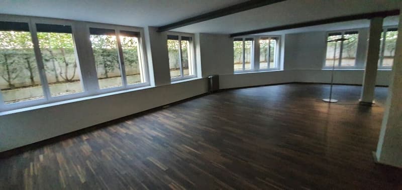 Wunderschöne Loft (4)