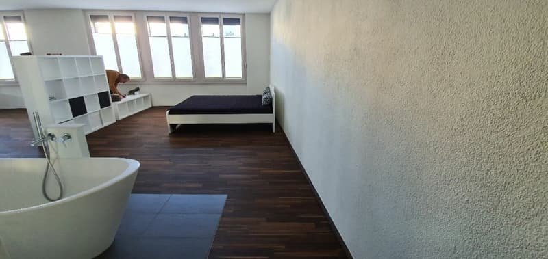 Wunderschöne Loft (7)