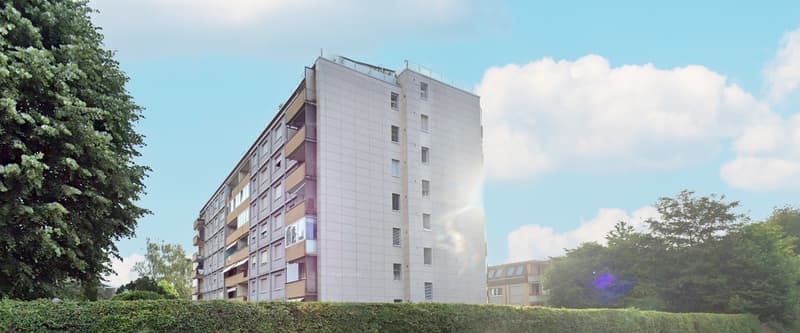 Appartement 3 pièces rénové avec vue panoramique à Biel (17)