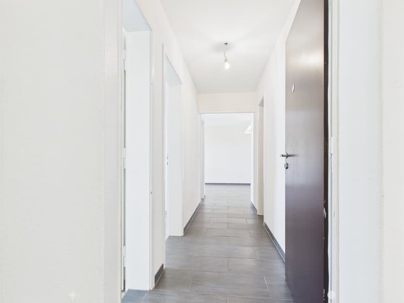 Appartement 3 pièces rénové avec vue panoramique à Biel (4)