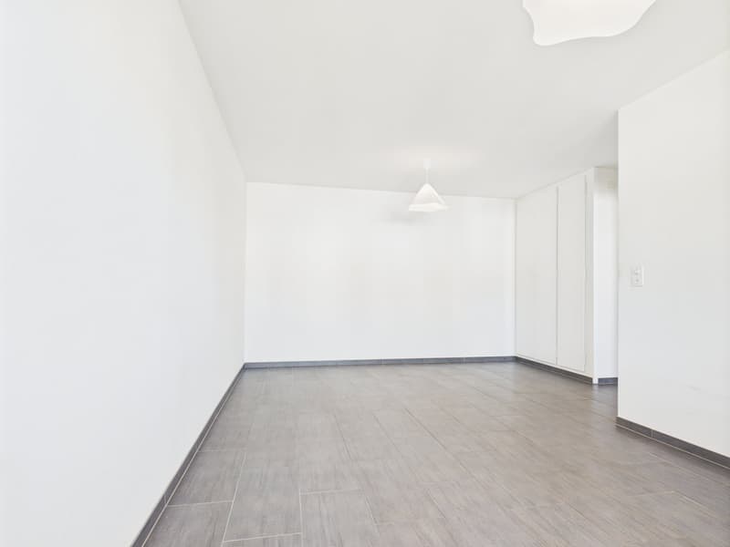 Appartement 3 pièces rénové avec vue panoramique à Biel (11)