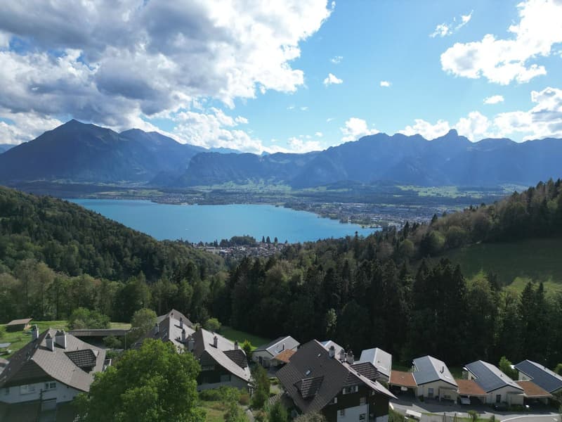 3,5 Zimmer Dachwohnung mit Bergsicht und Raumhöhe (1)