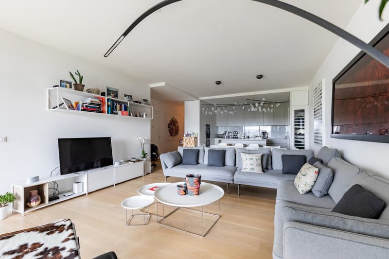 Spacieux appartement de 5 pièces avec balcon à Genève-Champel (2)