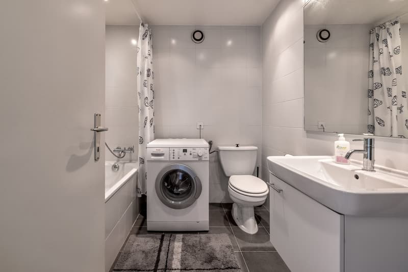 Charmant appartement de 3 pièces à Genève (1209) (5)