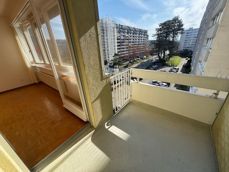 Charmant appartement de 3 pièces à Genève (1209) (3)