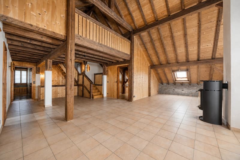 Ancienne ferme vaudoise superbement rénovée avec potentiel (12)