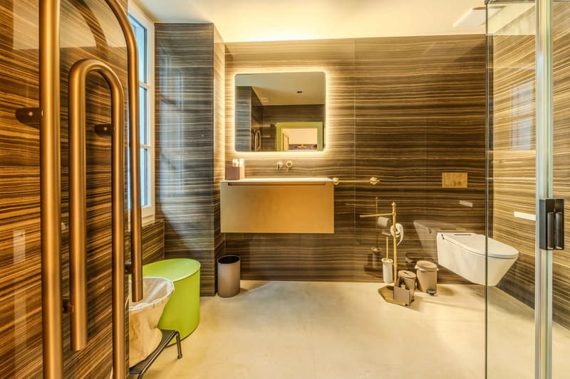 Magnifique propriété aux portes de Lausanne (11)