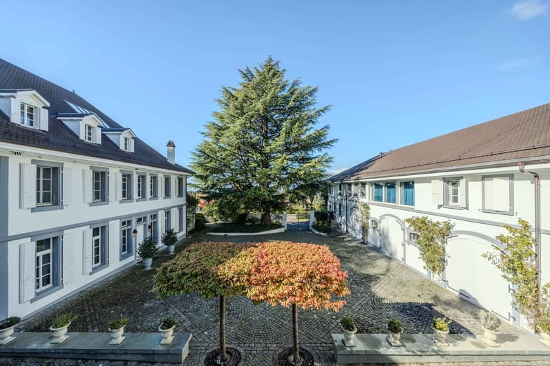 Magnifique propriété aux portes de Lausanne (2)