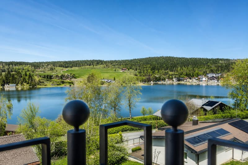 Villa contemporaine de 5.5 pièces, vue lac de Joux - Le Pont (2)