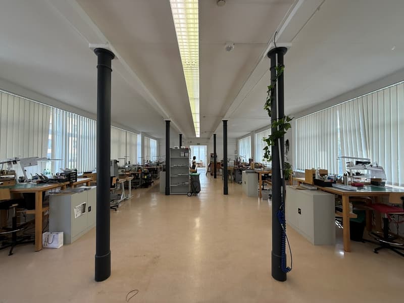 Bâtiment industriel historique à vendre – Rue Beau-Site 17, Le Locle (6)