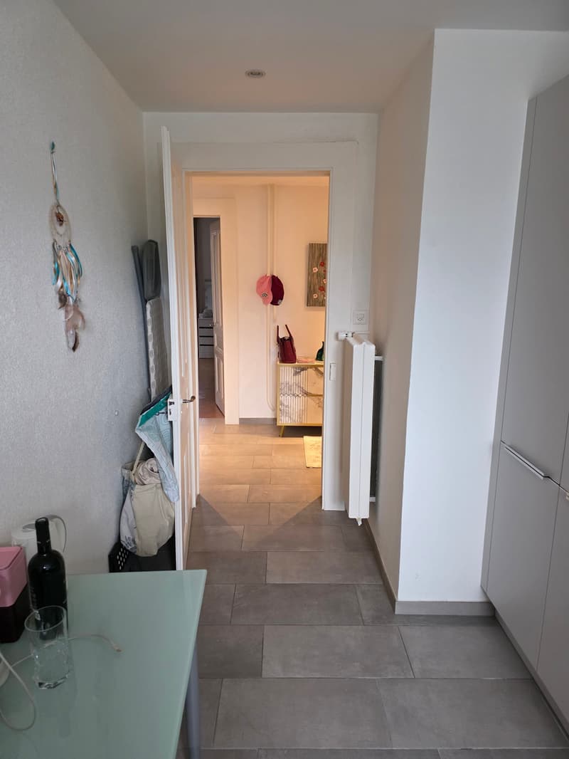 Charmant appartement de 3 pièces rénové avec balcon – La Chaux-de-Fonds (15)