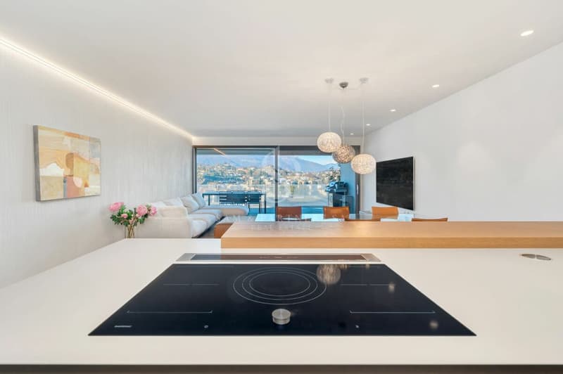Concetto architettonico (5)