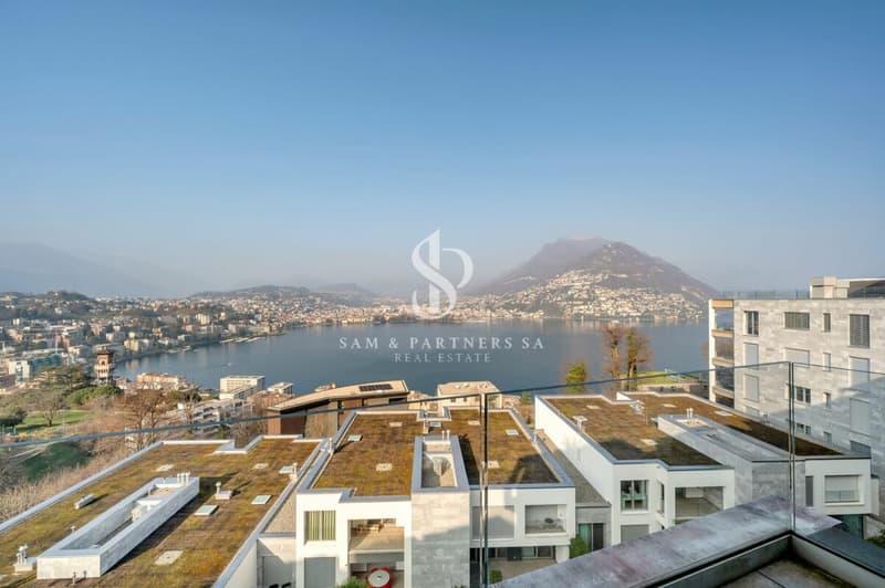 Privacy e vista lago (16)