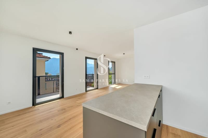 Moderno 3.5 locali con vista lago (2)