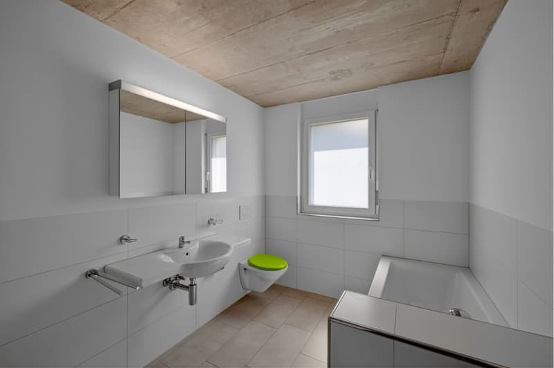 Modern living with Lake Constance view and beautiful garden (7)