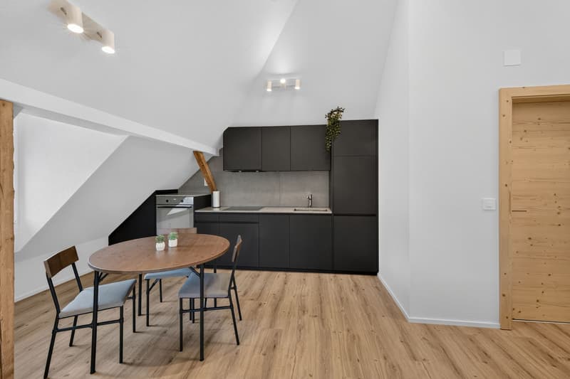 Möblierte Dachwohnung an ruhiger, sonniger Lage (5)